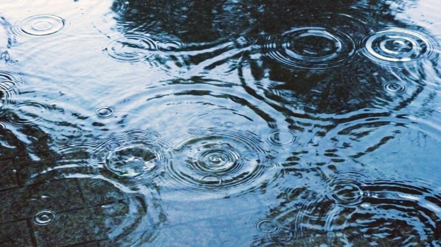 梅雨の風景に包まれながら心の声に耳を傾ける画像